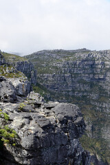 Felsstruktur, Table Mountain
