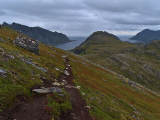 Fototapeta premium Beautiful view of hiking trail on steep slope with arctic colorful meadows on route to peak of Volandstinden with rugged mountains on the southern coast of Flakstadøya island, Lofoten, Norway.