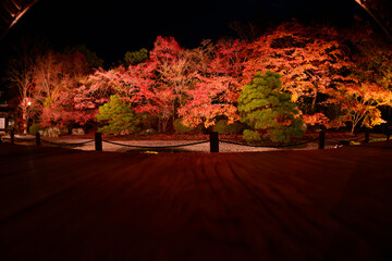 深夜、紅葉が映える南禅寺の家屋