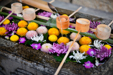 紅葉が映える手水舎