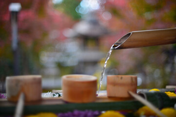 紅葉が映える鹿威し