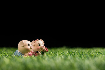 A toy pig on a grassy field against a black background
