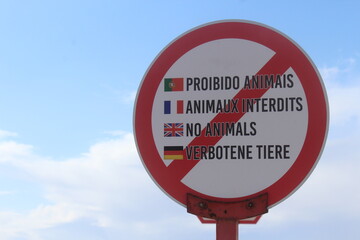 No animals sign on the beach with a blue sky - Forbidden animals
