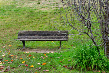 Viejo banco de madera anclado en un parque un día de otoño.