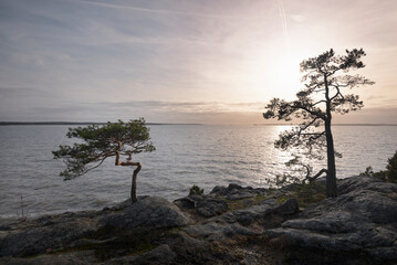 Sea landscape. Finland coast rocks and waves.