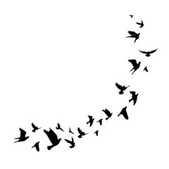 Flying birds silhouette illustration. Vector background