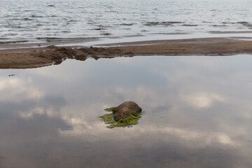 Abstract close up view of sandy sea shore with shallow water.