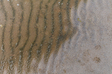 Abstract close up view of sandy sea shore with shallow water.