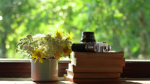 Closeup view 4k video of windowsill of rural cottage. Bouquet of cute small field flowers in blue metal mug, several paper books and old photo camera laying on window sill.