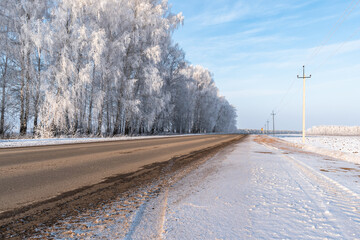 Obraz premium Winter background. Trees on the side of the road.