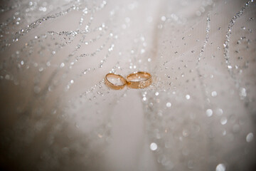 gold wedding rings lie on the wedding dress