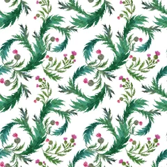 Foto auf Acrylglas Watercolor seamless pattern with stylized twigs, flowers and leaves of the Thistle plant © Ellivelli