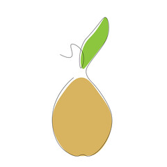 Pear fruit on white background, vector illustration