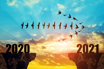 Silhouette of birds flying in arrow formation into the New Year 2021 at sunset.