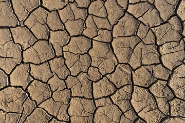 Human footprint on dry dehydrated soil in cracks (Close-up)