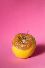 Rotten apple isolated on pink background, concept for ageing and  decay
