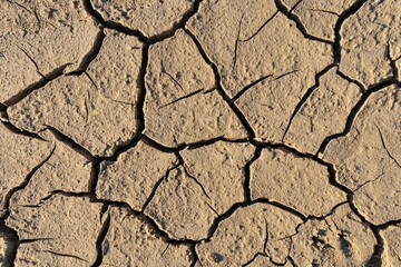 Dry dehydrated earth covered with cracks (Close-up)