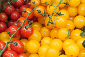 close up of colorful cherry tomato on table 