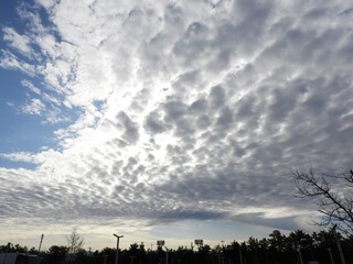 空　うろこくも