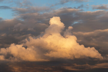Sunset sky. Big white fluffy cumulus storm cloud in yellow orange sunlight on blue sky background texture
