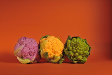 colorful cauliflowers on plain background