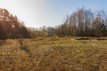 Autumn landscape with  forest in the background