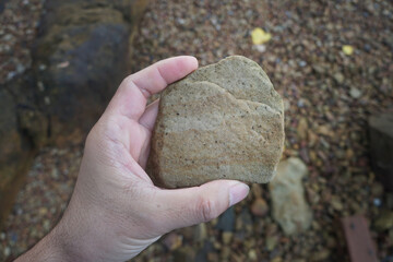 Hand holding a piece of  raw Sandstone rock on nature background. 