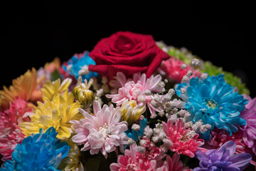 Beautiful and colorful flower bouquet, on dark bakground. Floral bouquet of different flowers. Best for a greeting card