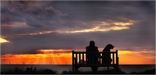 Fototapeta premium sunset in the city