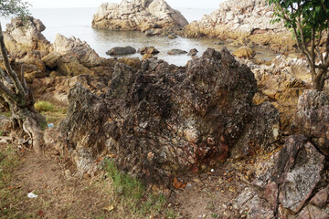 The sandstone on the beach is eroded by the sea and the wind.