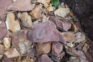 piece of Pink Arkose Sandstone rock on nature background. 
Sandstones are sedimentary rocks. 