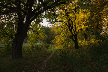 Trail among the autumn park