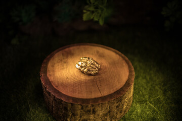 Still life with Walnut kernels and whole walnuts on rustic old wooden table. Creative table decoration.