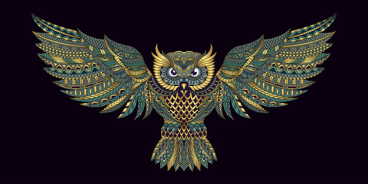 Stylized owl in ethnic vector dark background