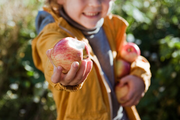A little boy shares an Apple.