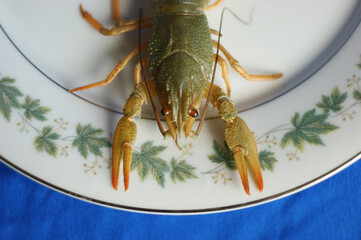 live crayfish. green crayfish on a plate