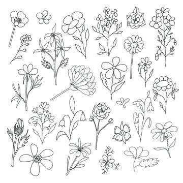 Set of hand-drawn outline flowers.