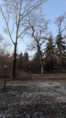 winter in the park