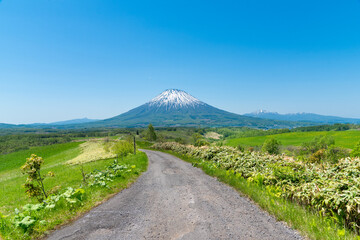 望羊の丘から望む予定残と広大な自然のイメージ  北海道ニセコエリアの観光イメージ