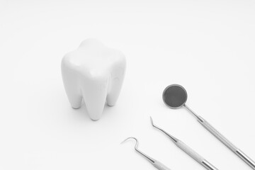 dental care set tooth model  on white