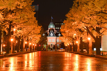 ライトアップされた秋の北海道庁赤レンガ庁舎  北海道札幌市