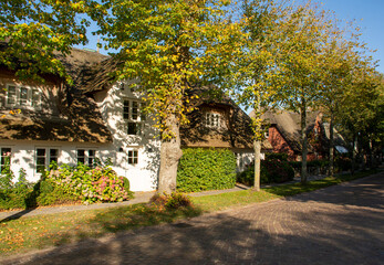 Nieblum, Germany - October 16, 2020: Thatched houses and trees at a street in Föhr
