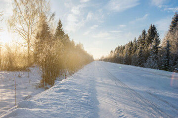 Winter road through the forest	
