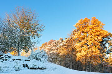 Winter landscape with fall foliage of New England at sunrise after the first snow, Boston, Massachusetts, USA.