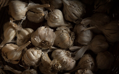 garlic background