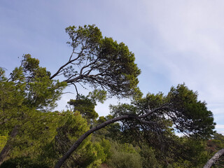 Paesaggio