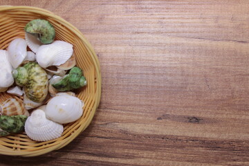 Sea shell in a basket with wooden background