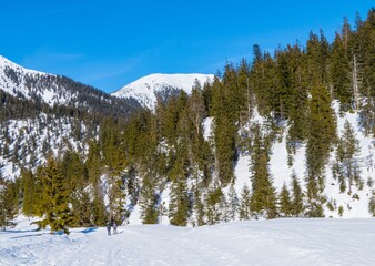 Schneewanderung in den Alpen