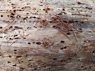 old rusty metal