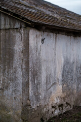Naklejka premium cracked walls with splices in old concrete building